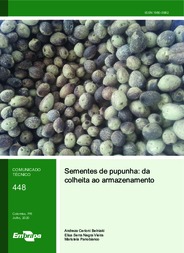 Thumbnail de Sementes de pupunha: da colheita ao armazenamento.