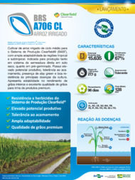 Thumbnail de BRS A706 CL arroz irrigado: Clearfield® sistema de produção.