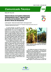 Thumbnail de Sobrevivência da bactéria Ralstonia solanacearum raça 2, agente causal do moko da bananeira, em solos de terra firme do Amazonas.