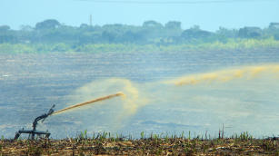 Imagem de Zoneamento Agroecológico do Estado de Alagoas (ZAAL)