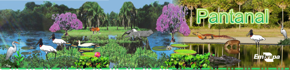 Ilustração Bioma Pantanal