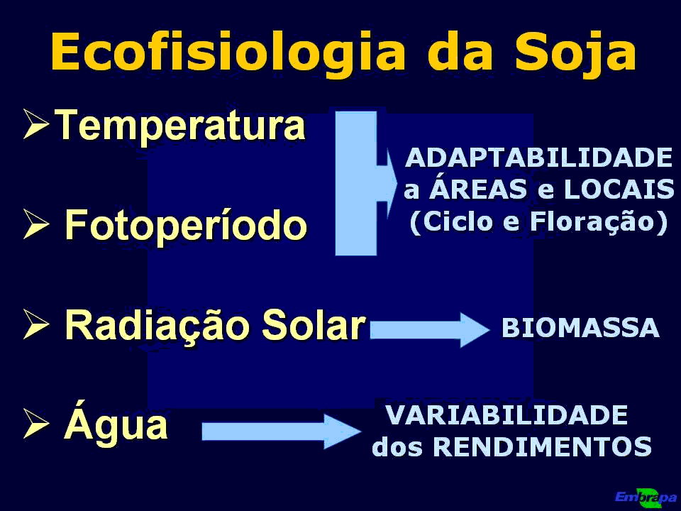 Clima Clima