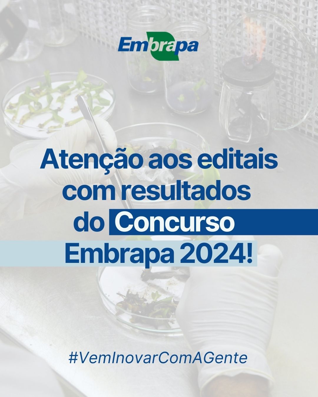 Editais com resultados do Concurso Embrapa 2024